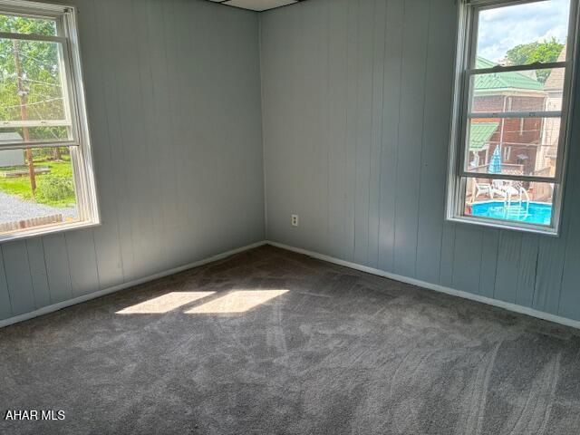215 N 10th Ave, Altoona, PA 16601 - unfurnished room with carpet floors and wooden walls