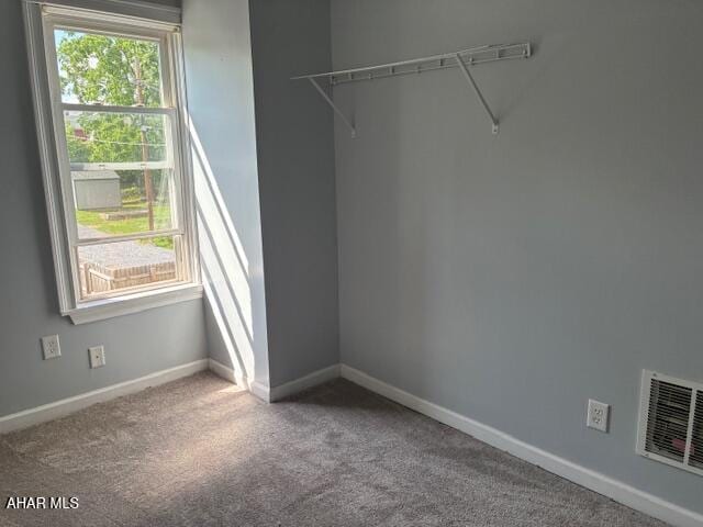 215 N 10th Ave, Altoona, PA 16601 - spacious closet with carpet flooring