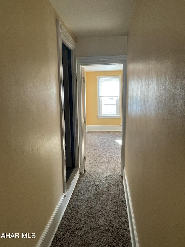 hallway with carpet floors