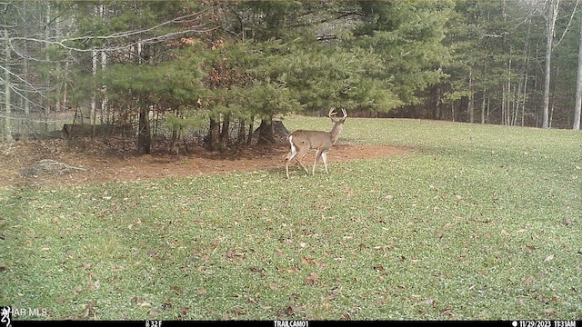 5168 Black Log Rd, Orbisonia, PA 17243 - view of grassy yard