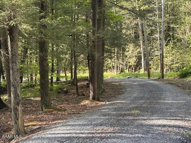 5168 Black Log Rd, Orbisonia, PA 17243 - view of road with a wooded view