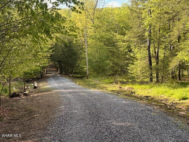 5168 Black Log Rd, Orbisonia, PA 17243 - view of dirt / gravel road with a view of trees
