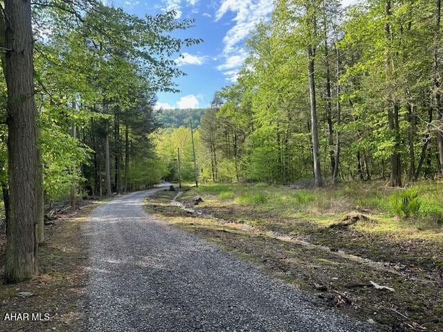 5168 Black Log Rd, Orbisonia, PA 17243 - view of road with a wooded view