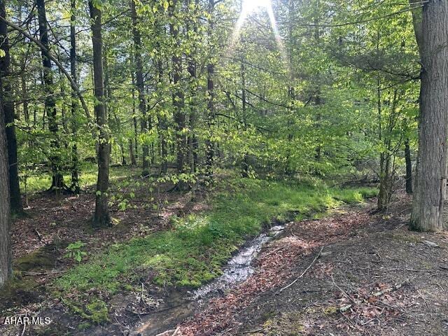 5168 Black Log Rd, Orbisonia, PA 17243 - view of tree filled area