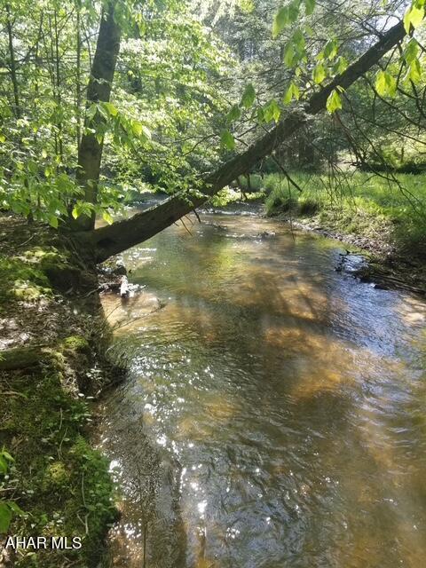 5168 Black Log Rd, Orbisonia, PA 17243 - water view