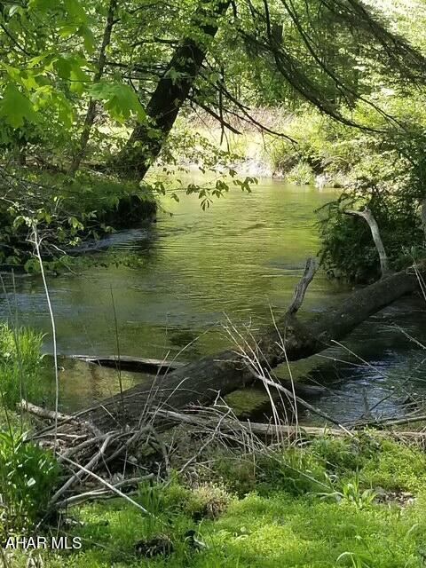 5168 Black Log Rd, Orbisonia, PA 17243 - view of undeveloped land