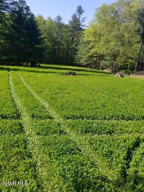 5168 Black Log Rd, Orbisonia, PA 17243 - view of grassy yard
