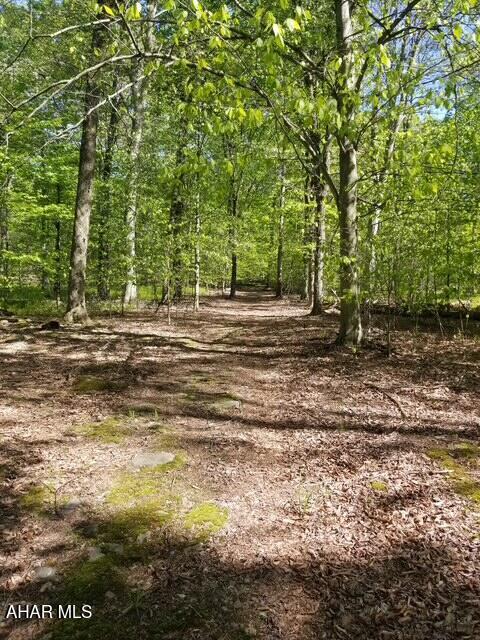 5168 Black Log Rd, Orbisonia, PA 17243 - view of tree filled area