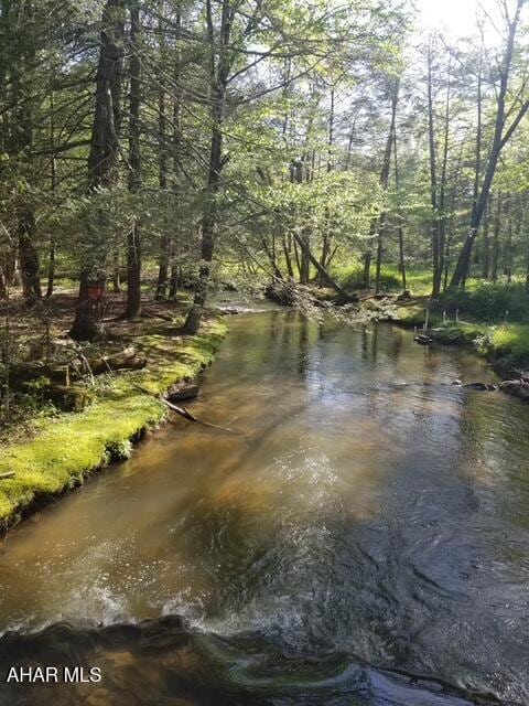 5168 Black Log Rd, Orbisonia, PA 17243 - water view
