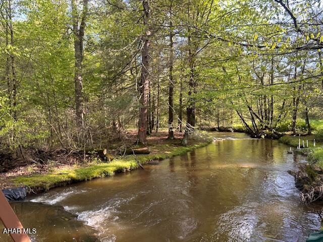 5168 Black Log Rd, Orbisonia, PA 17243 - water view