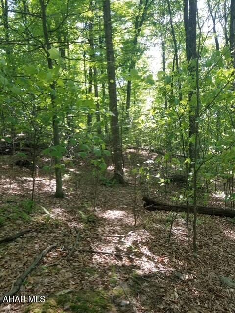 5168 Black Log Rd, Orbisonia, PA 17243 - view of nature