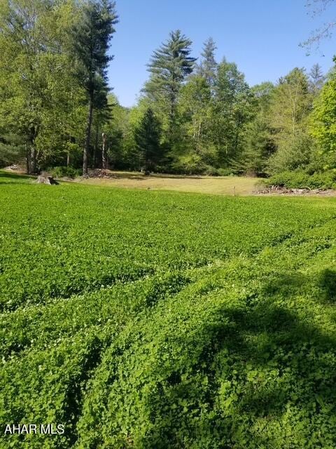 5168 Black Log Rd, Orbisonia, PA 17243 - view of yard