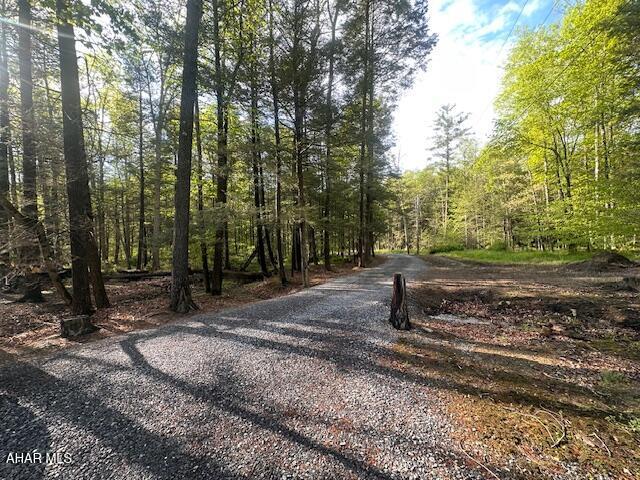 5168 Black Log Rd, Orbisonia, PA 17243 - view of street with a forest view