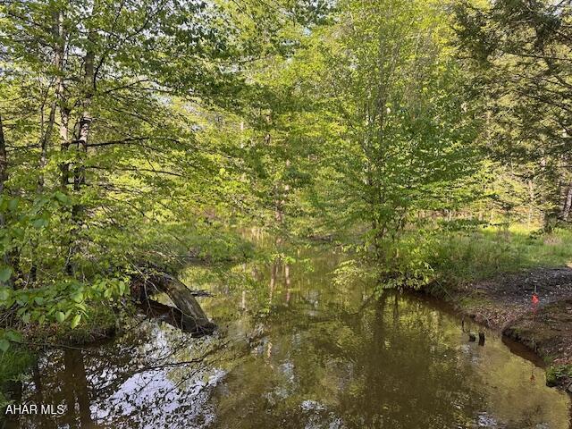 5168 Black Log Rd, Orbisonia, PA 17243 - view of woods