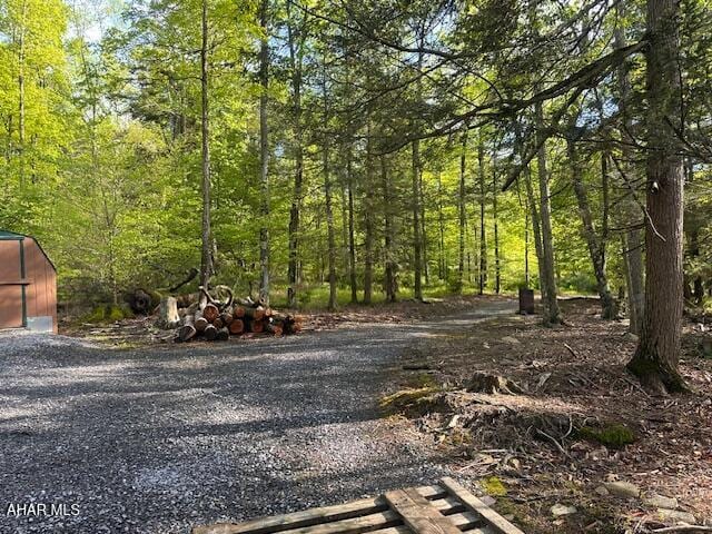 5168 Black Log Rd, Orbisonia, PA 17243 - view of yard with a wooded view