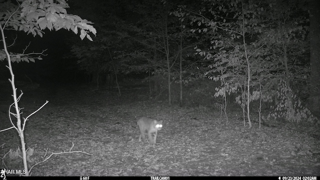5168 Black Log Rd, Orbisonia, PA 17243 - view of nature at twilight
