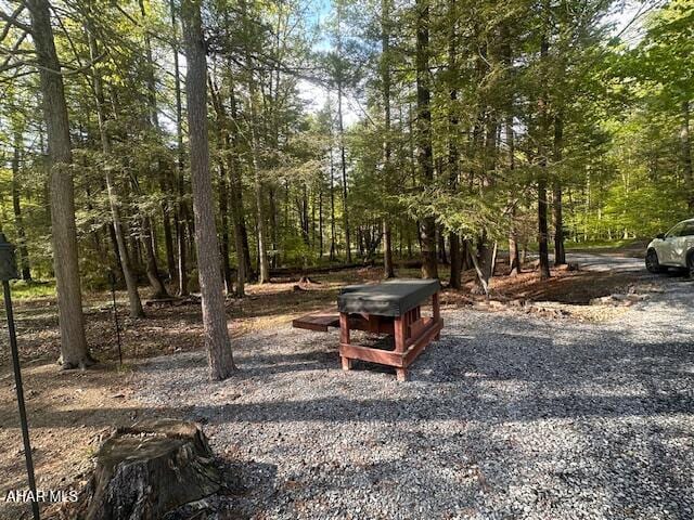 5168 Black Log Rd, Orbisonia, PA 17243 - view of yard