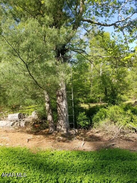 5168 Black Log Rd, Orbisonia, PA 17243 - view of tree filled area