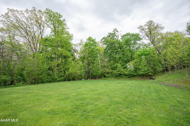 738 Chapel Dr, Altoona, PA 16602 - view of green lawn