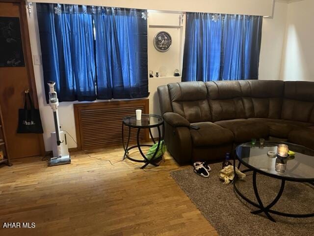 1004-08 17th Ave, Altoona, PA 16601 - living room with light hardwood / wood-style flooring