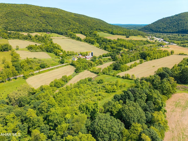 346 Lower Snake Spring Rd, Everett, PA 15537 - aerial view of sparsely populated area with a heavily wooded area