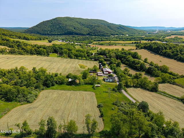 346 Lower Snake Spring Rd, Everett, PA 15537 - view of rural area with mountains
