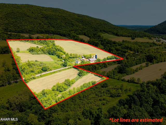 346 Lower Snake Spring Rd, Everett, PA 15537 - view of rural area featuring property parcel outlined