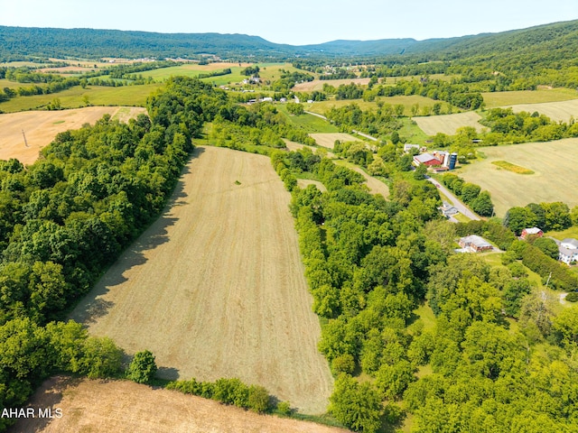 346 Lower Snake Spring Rd, Everett, PA 15537 - view of rural area