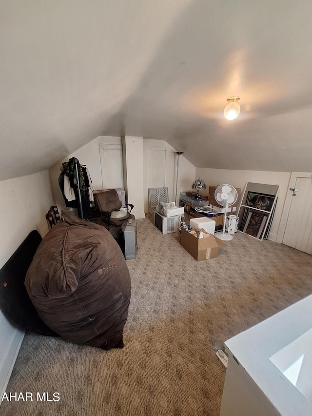 additional living space featuring light carpet and vaulted ceiling