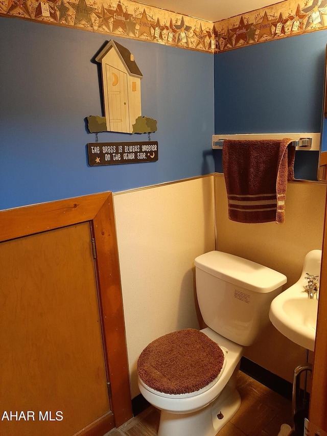 bathroom with sink and toilet