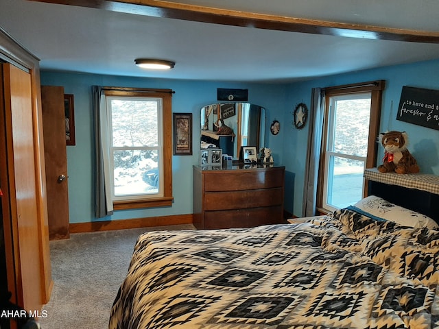 bedroom with multiple windows and carpet