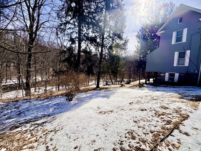 view of snowy yard