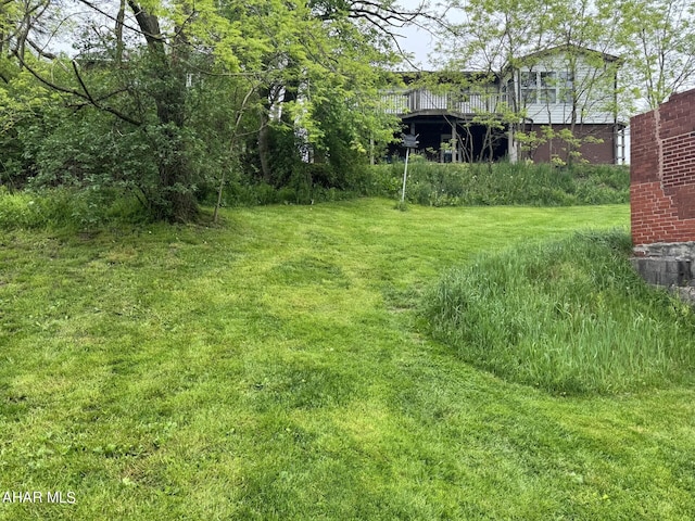 321 Main St, Gallitzin, PA 16641 - view of yard