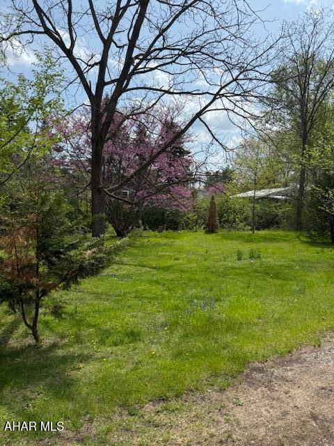 3091 Colonial Dr, Duncansville, PA 16635 - view of yard
