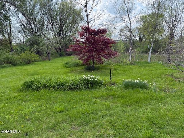 3091 Colonial Dr, Duncansville, PA 16635 - view of yard