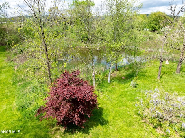 3091 Colonial Dr, Duncansville, PA 16635 - view of yard