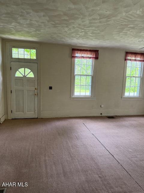 3091 Colonial Dr, Duncansville, PA 16635 - entryway with plenty of natural light, carpet floors, and a textured ceiling