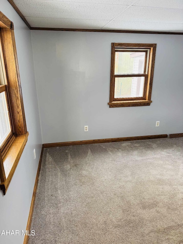 spare room with crown molding and carpet floors