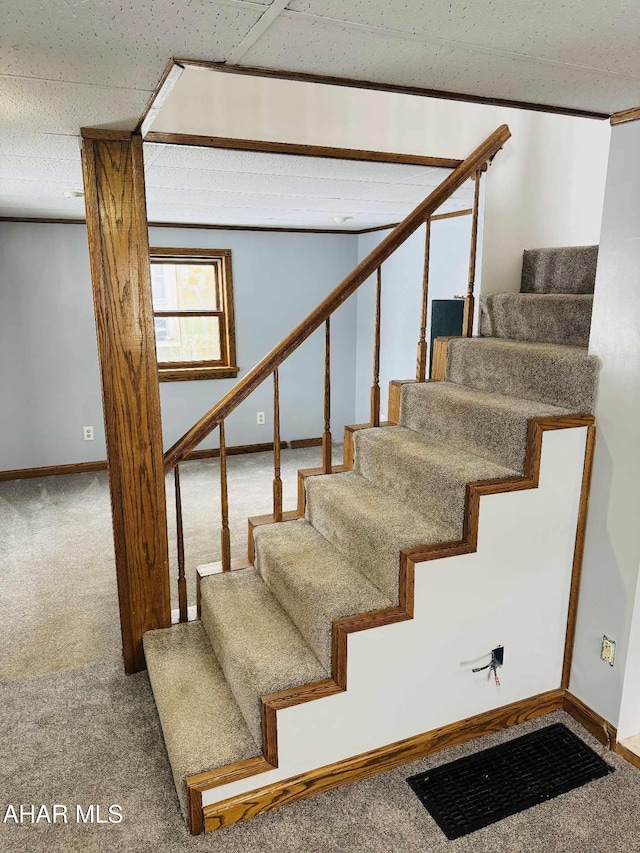 stairway featuring carpet floors