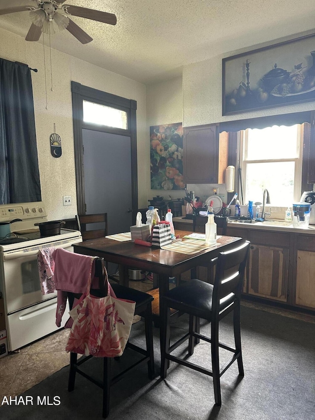 dining area with carpet flooring, ceiling fan, sink, and a textured ceiling