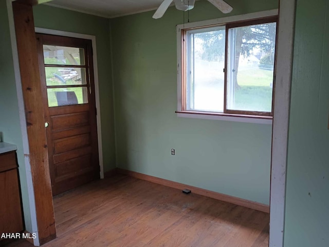 doorway with light hardwood / wood-style floors, a wealth of natural light, and ceiling fan