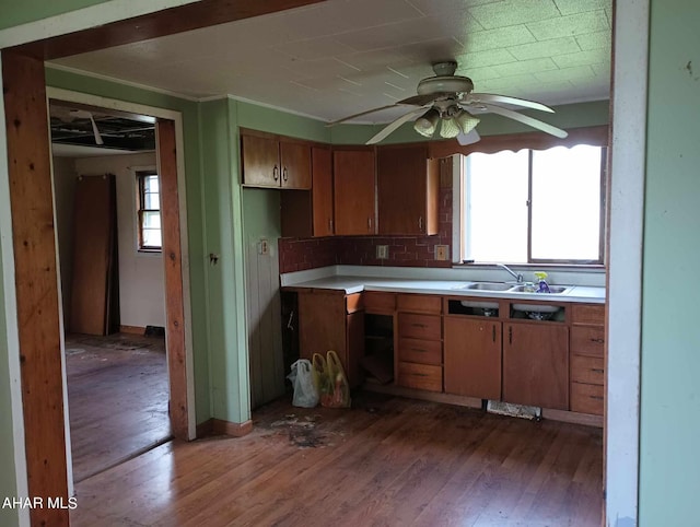 kitchen with backsplash, sink, ceiling fan, ornamental molding, and dark hardwood / wood-style flooring