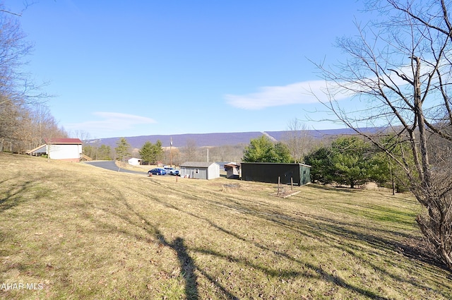 view of yard with an outbuilding, a mountain view, and a pole building