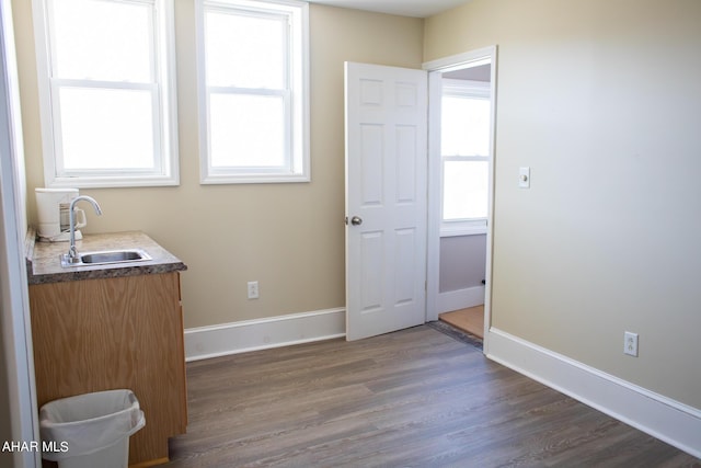 interior space featuring wood-type flooring and sink