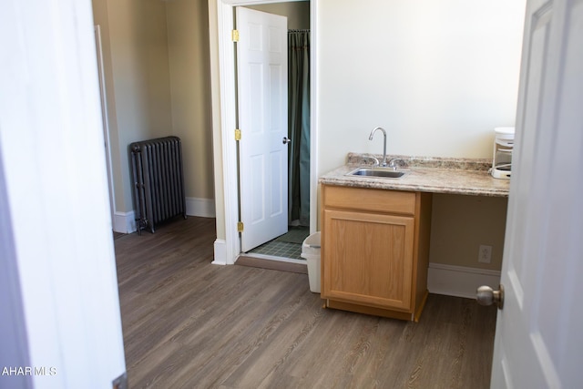 bathroom with a shower with shower curtain, vanity, hardwood / wood-style flooring, and radiator