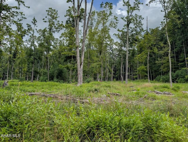 1856 Evitts Creek Rd, Bedford, PA 15522 - photo 97