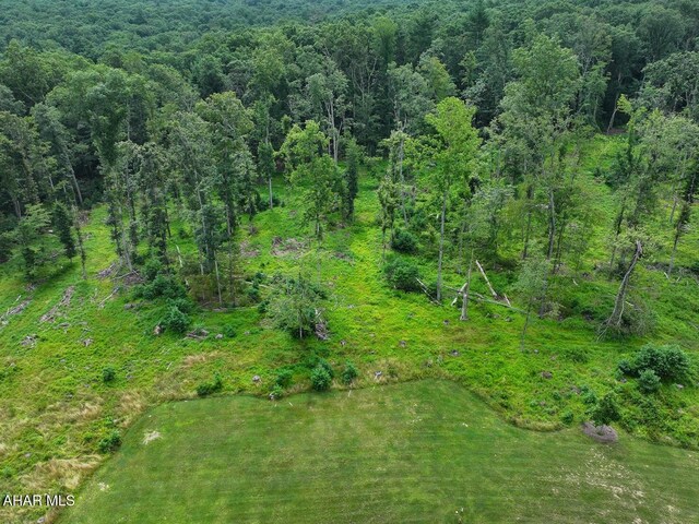 1856 Evitts Creek Rd, Bedford, PA 15522 - photo 104