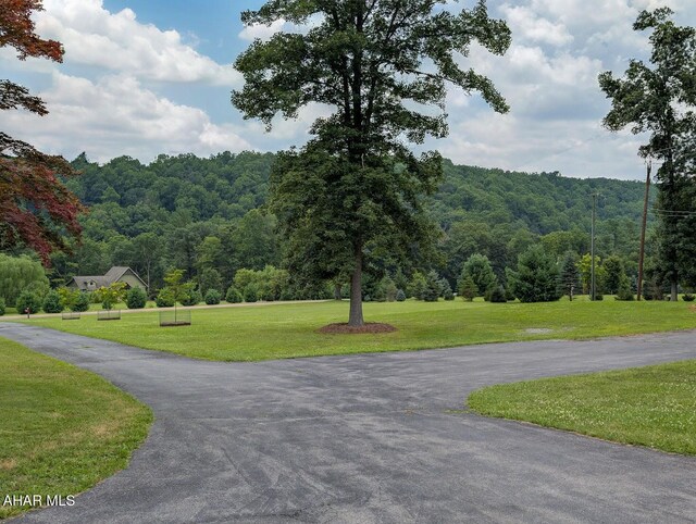 1856 Evitts Creek Rd, Bedford, PA 15522 - photo 90