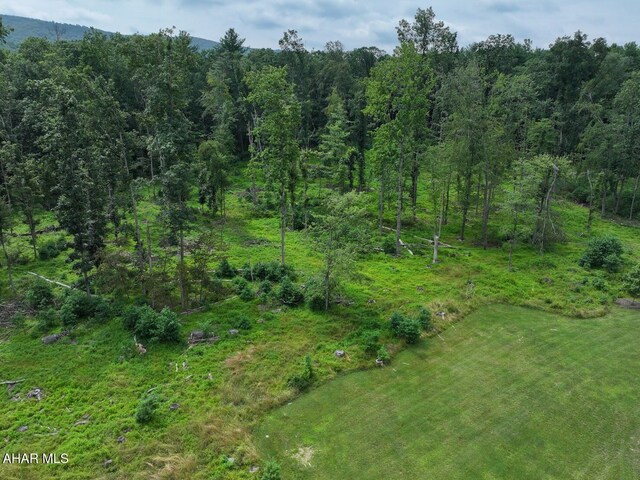 1856 Evitts Creek Rd, Bedford, PA 15522 - photo 105