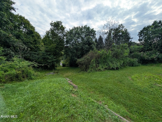 908 Baughman Hollow Rd, Tyrone, PA 16686 - photo 22